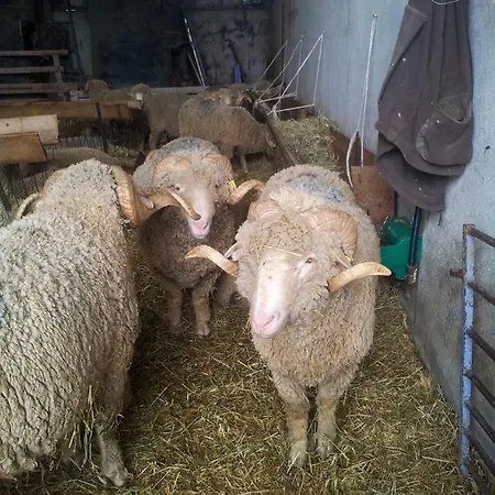 Konukevi Le Petit Fabre