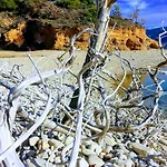 Πανσιόν Le Petit Fabre