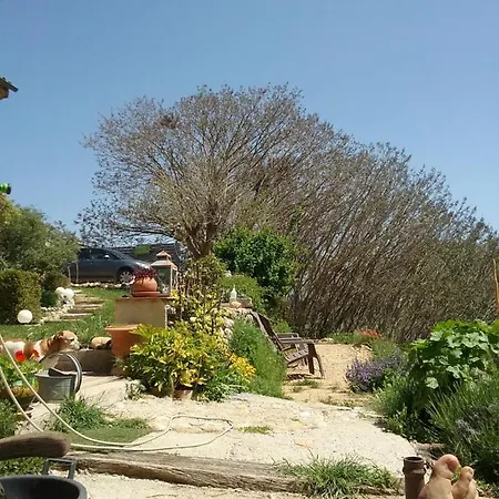 Le Petit Fabre Guest house *