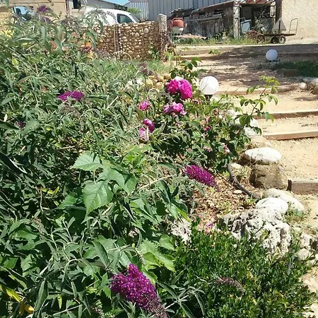 Le Petit Fabre Casa de hóspedes *