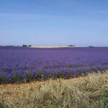 Le Petit Fabre Pensjonat Montagnac (Alpes-de-Haute-Provence)