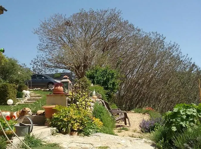 Le Petit Fabre Guest house *