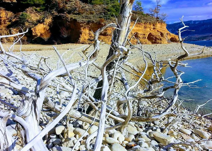 Guest house Le Petit Fabre