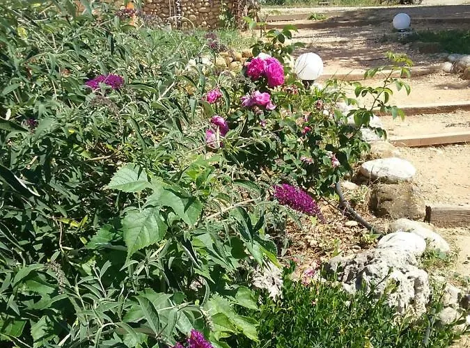 Le Petit Fabre Guest house *